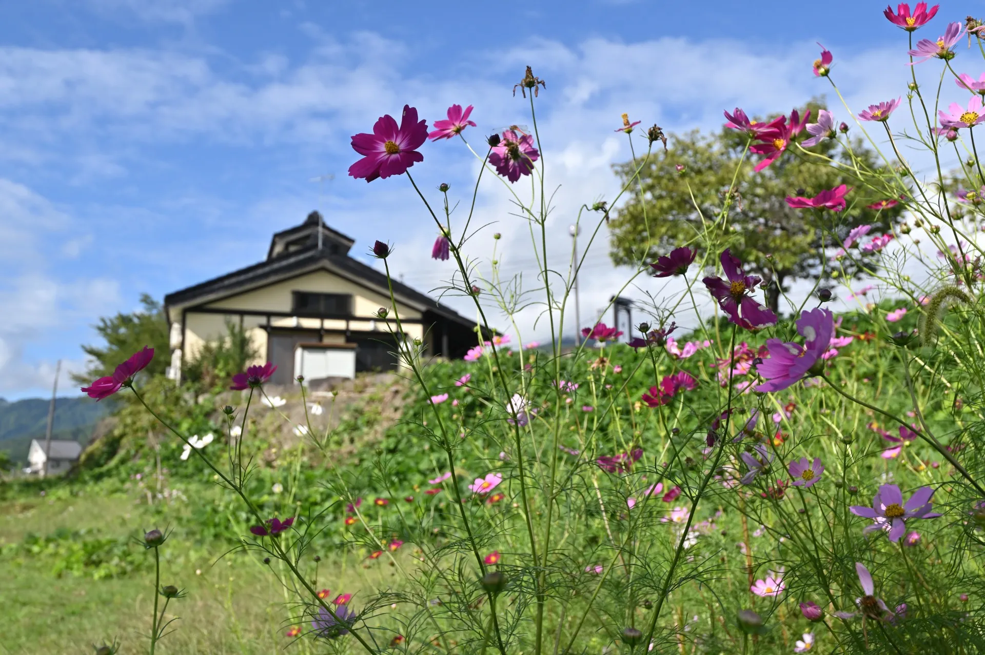 実際に来店されたお客様の声をご紹介